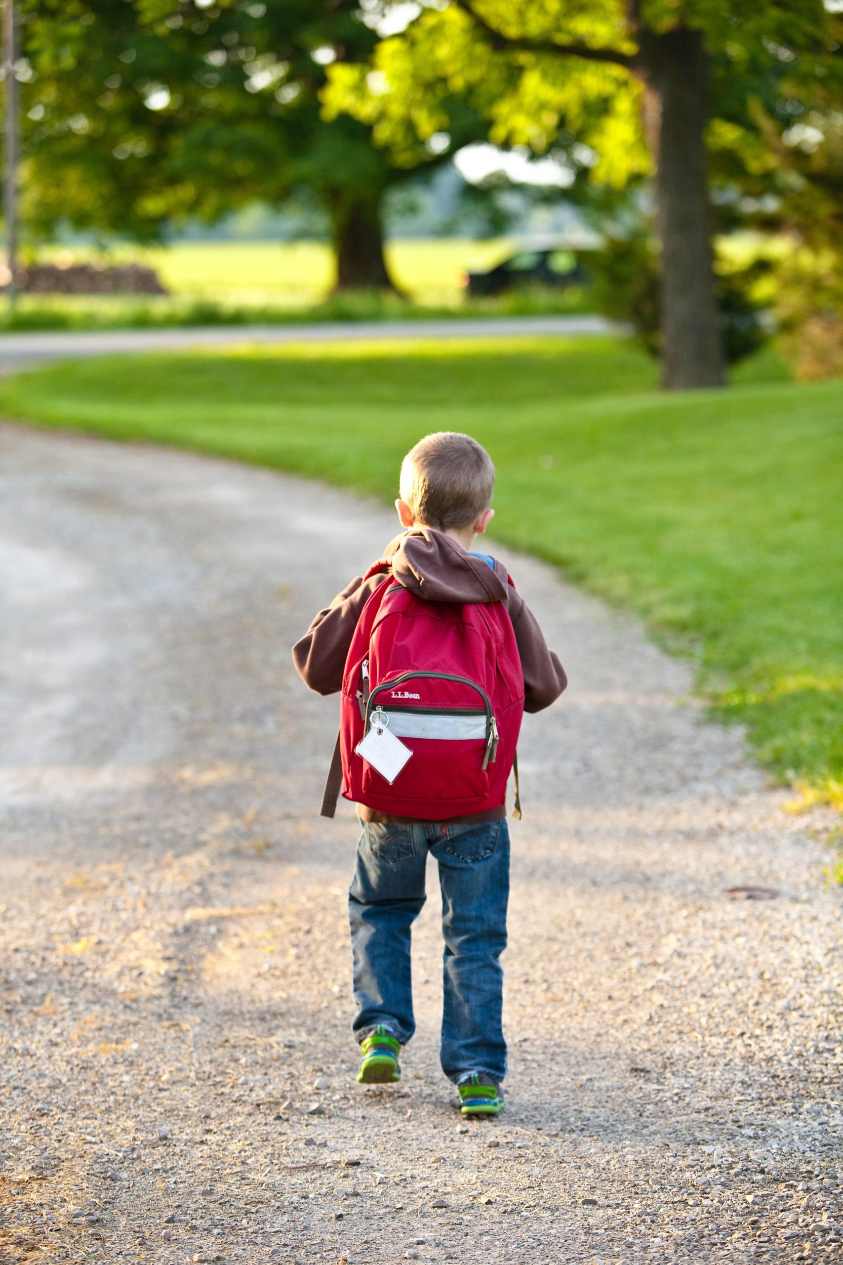 Back to school education